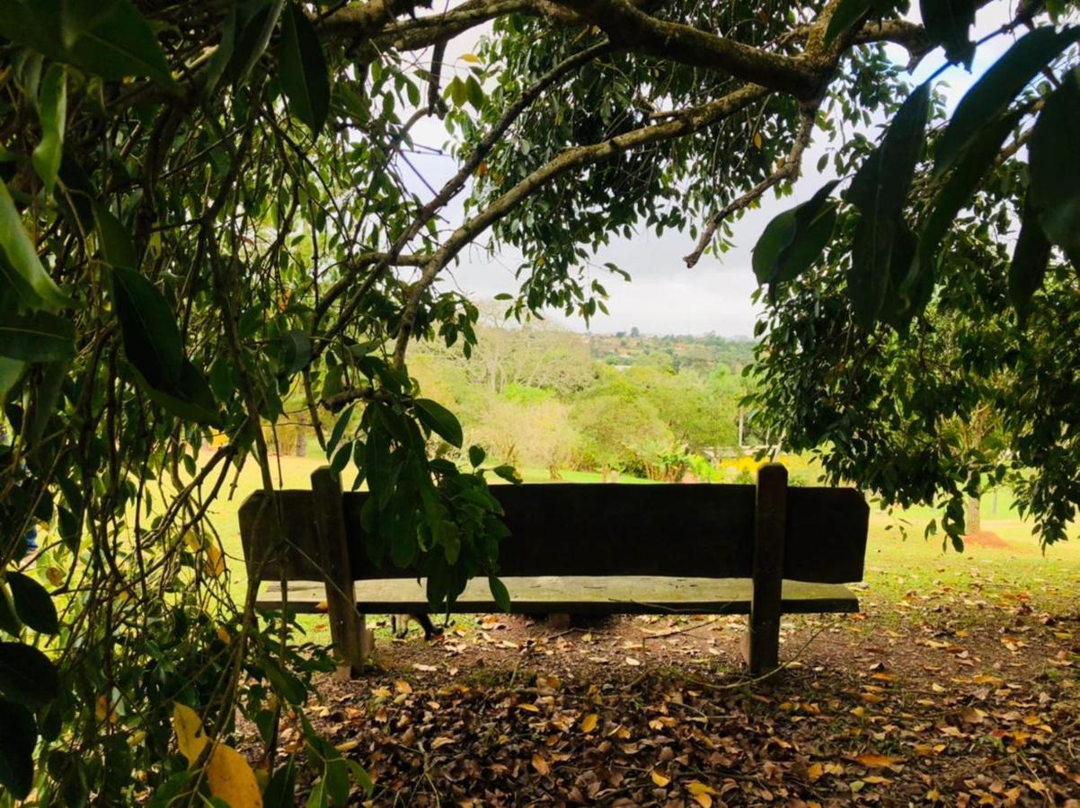 Pousada Sitio Da Terra E Arte São Roque Eksteriør billede
