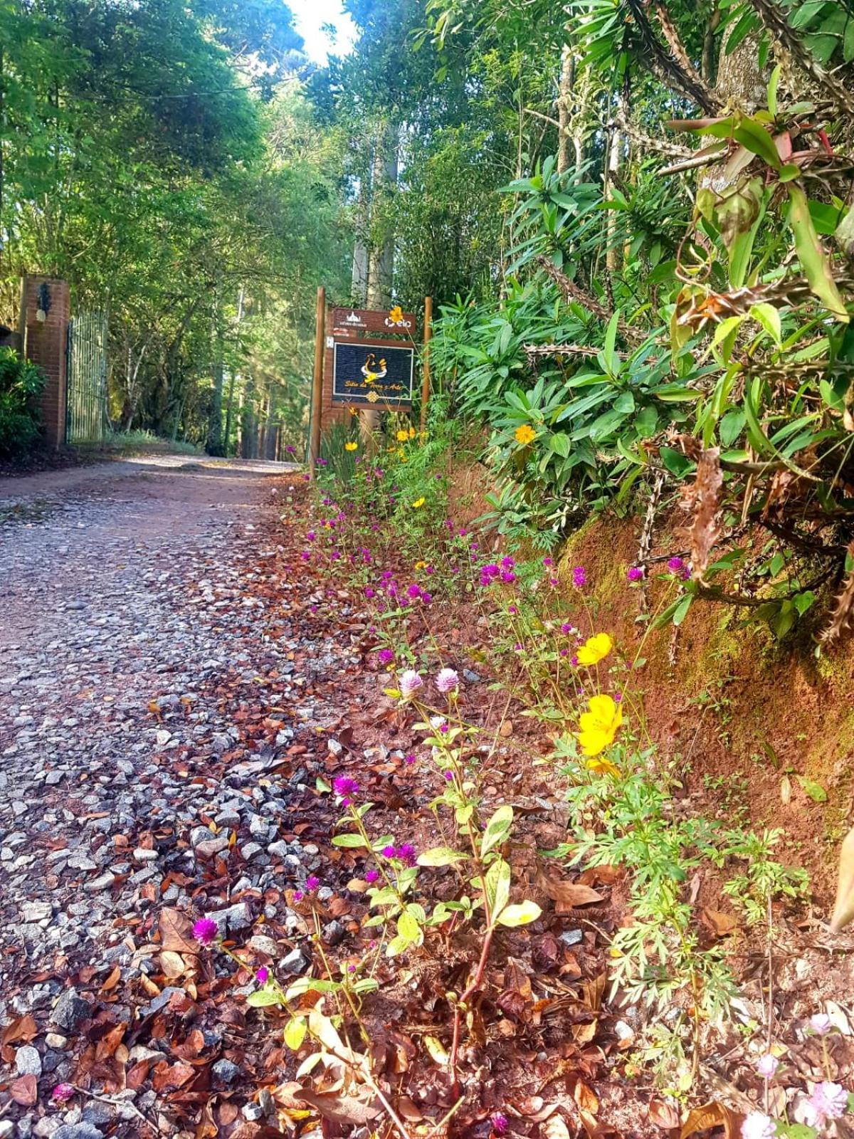 Pousada Sitio Da Terra E Arte São Roque Eksteriør billede